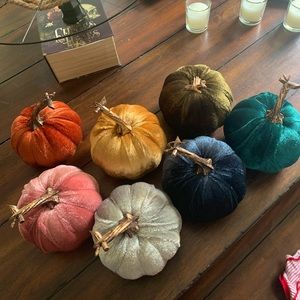 Colorful velvet pumpkins